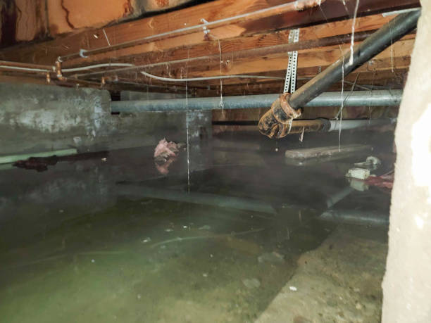 Local water damage restoration in TX