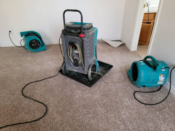 Carpet water damage restoration in TX