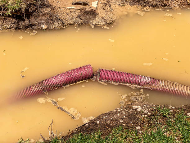 Best Water damage cleanup near me  in Seagraves, TX